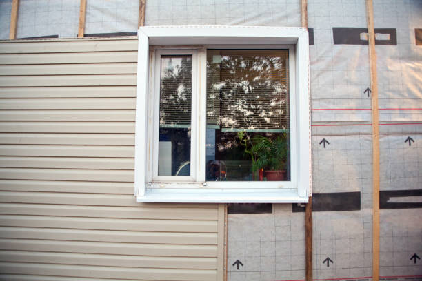 Best Custom Siding Design  in Avon, MN