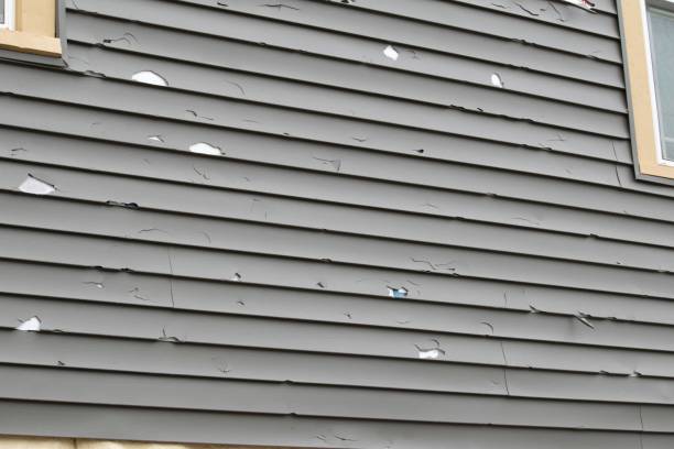 Best Siding for New Construction  in Avon, MN